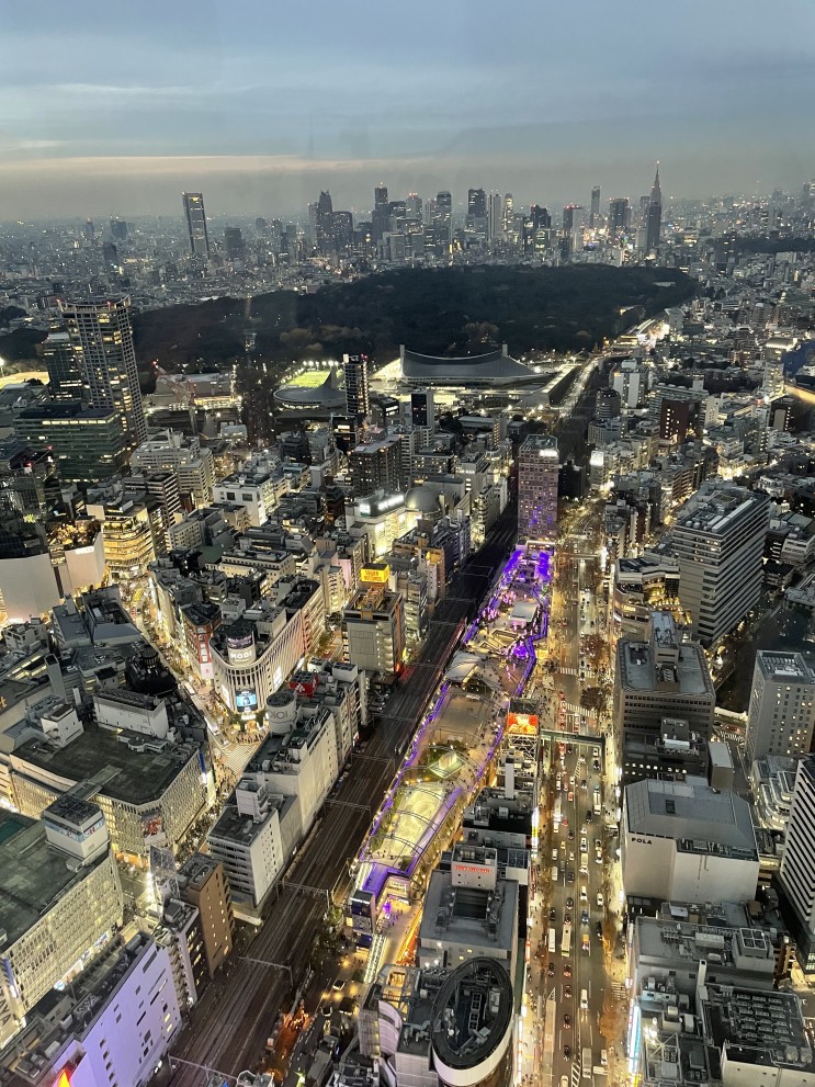 도쿄의 낮과 밤을 한눈에 / 도쿄 시부야 스카이 전망대