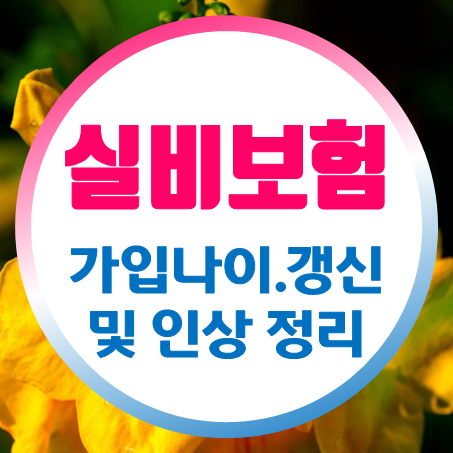  실비보험 가입나이 및 갱신과 인상에 관해 정리했어요.