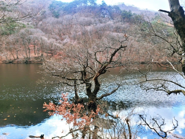  한국에서 인기 있는  블로그를 위한 8계명,블로그 세상을 바꾸다 3편