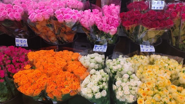 고속터미널 꽃시장 위치 가격 후기