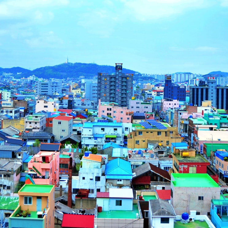 부동산학과 취업 자격증 (감정평가사 공인중개사 주택관리사보 등) 부동산학과 취업 자격증 (감정평가사 공인중개사 주택관리사보 등)