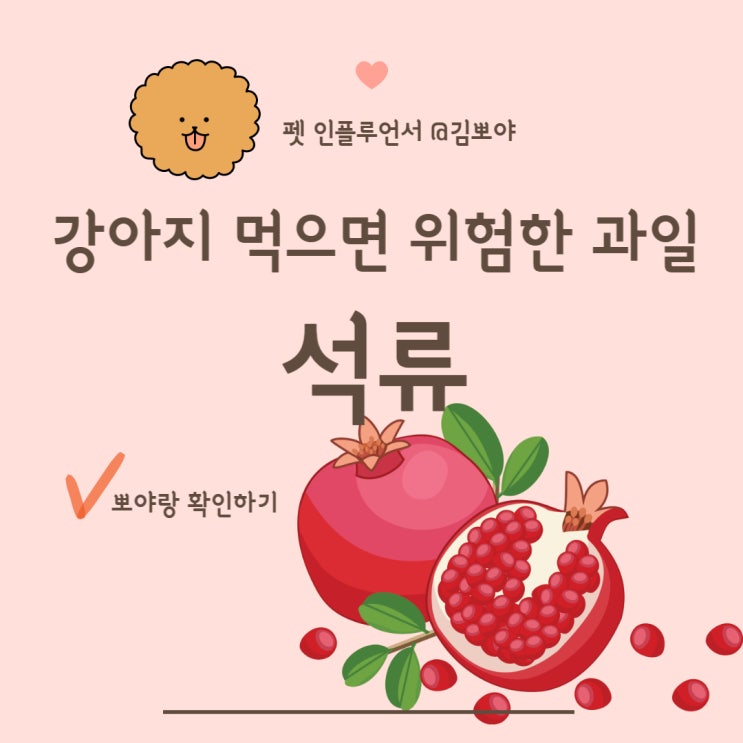  강아지석류 먹이면 위험한 이유 반려견석류 급여 금지