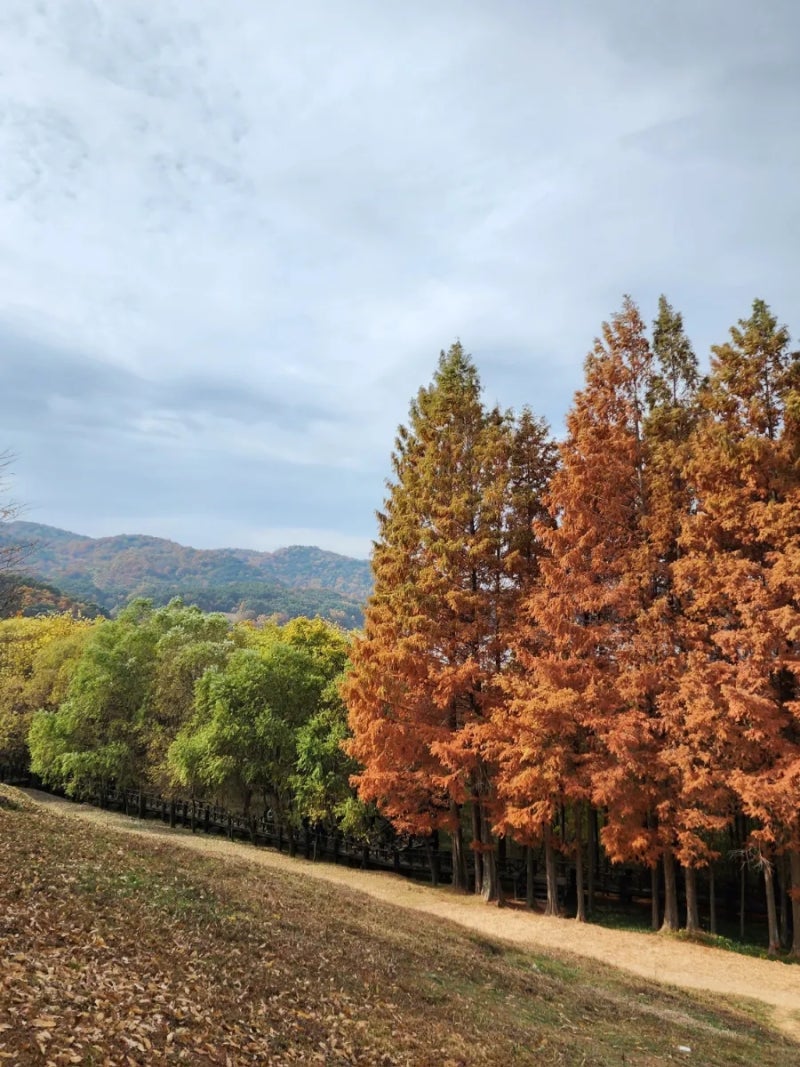 저는 위험한 거미 취급자입니다. AMA! : r/IAmA, image size:800x1067