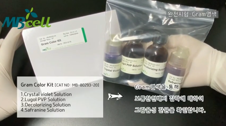 [식품공전 실험] 대장균군 정성시험 - BGLB배지법 / 추정시험, 확정시험, 완전시험 한번에 알아보기/ BGLB 2% ...