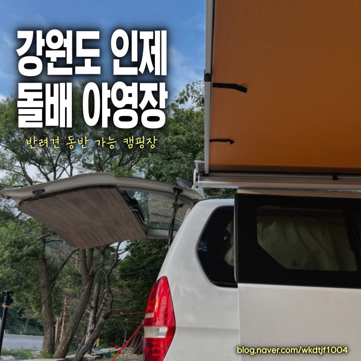  강원도 인제 돌배야영장 제2야영장, 반려동물 동반가능 캠핑장, 차박가능한 계곡캠핑장