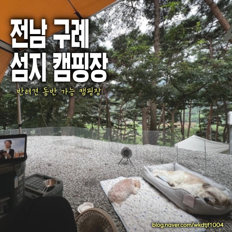  구례섬지캠핑장, 반려동물 동반가능 캠핑장, 스타렉스 자작캠핑카, 소나무동 15번 사이트