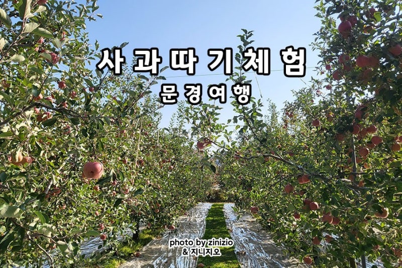 경북아이와가볼만한곳 문경새재 사과따기체험 문경사과사랑농장