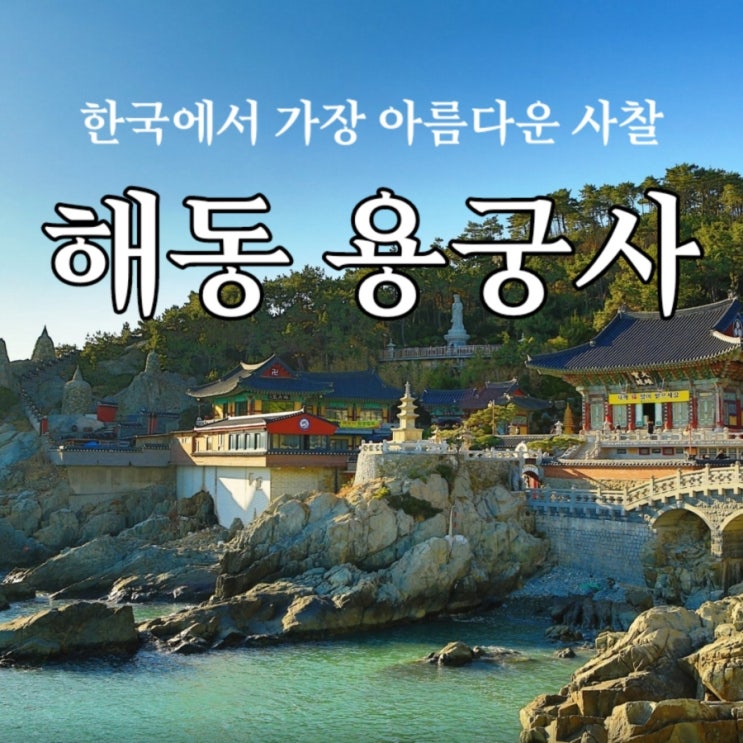  바다뷰가 끝내주는 부산 해동 용궁사