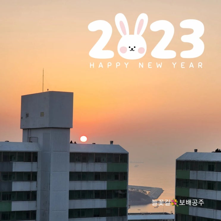  2023년 계묘년 흑토끼해 삼재띠, 올해도 잘지내보자!