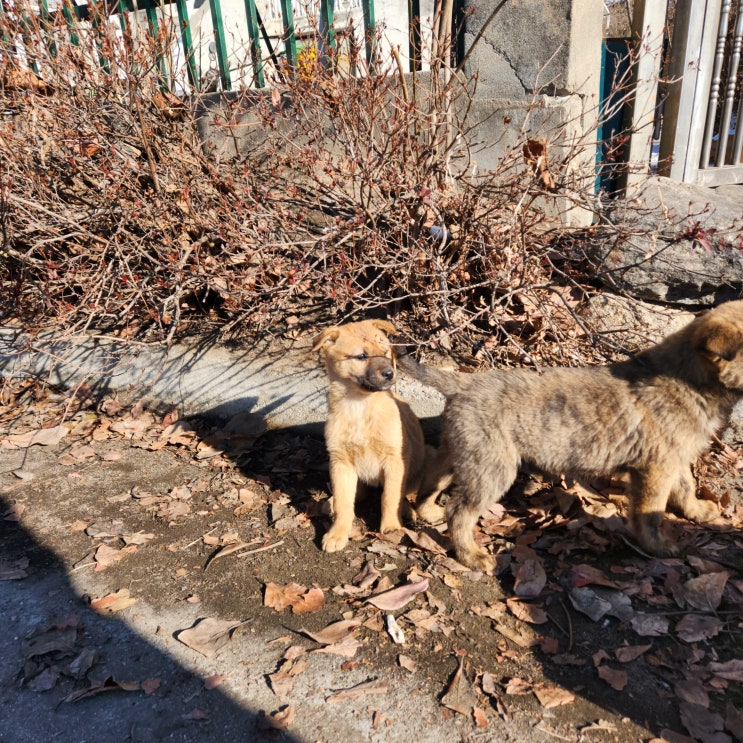  INU GB 캠프 기록-2일차