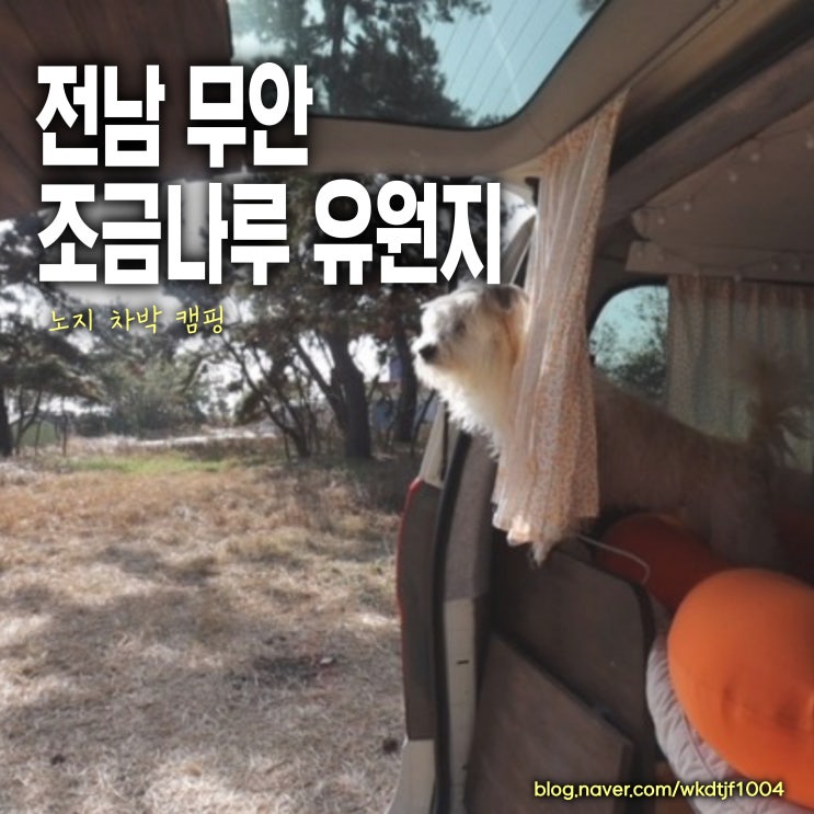  전남 무안 조금나루 해수욕장 유원지 무료 차박 캠핑, 반려동물 동반 차박캠핑