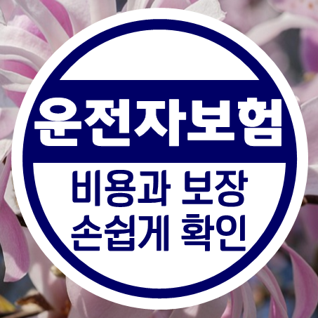  환급형운전자보험 비용과 보장내용을 손쉽게 알아볼 수 있어요.