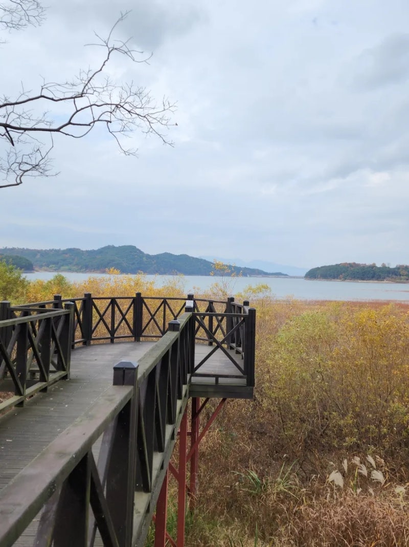 앞치마찌든때 빼는 방법 | TikTok, image size:800x1068