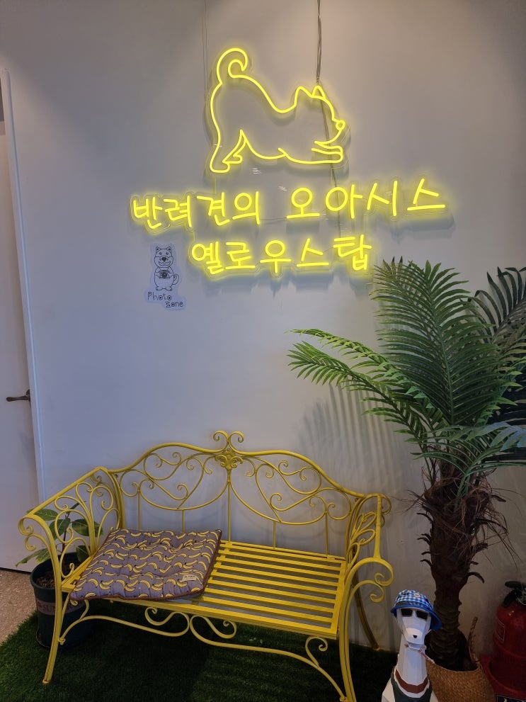  가평휴게소 춘천 방향 옐로우스탑 반려견의 오아시스