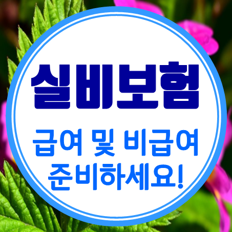  70대실비보험 급여와 비급여까지 실손으로 준비할 수 있어요.