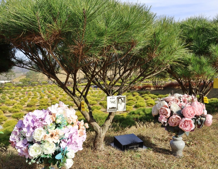  용인수목장 확보하는 절차와 기간