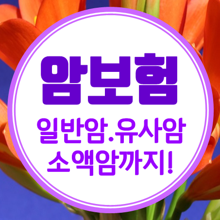  암진단보험 일반암 뿐 아니라 유사암과 소액암까지 신경 쓰세요.