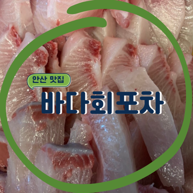 [안산 맛집] 월피동 대방어가 유명한 포장마차. 바다회포차