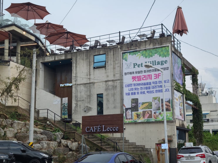  청주햄스터_꼬맹이들과 다녀온 [펫빌리지]