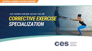 NASM-CES 자격증 정보 (책/난이도/문제유형/공부법/응시료/트레이너 자격증)