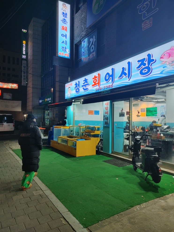  도봉구 맛집 회맛집 인 청춘회어시장 에서겨울체철회인 대방어에 소주한잔