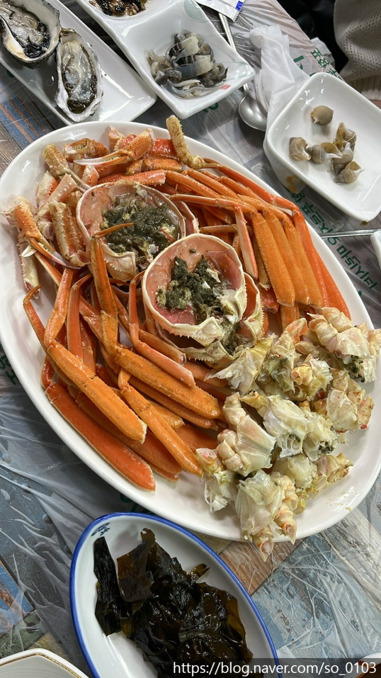  [경상북도/포항] 구룡포 대게 거리 가성비 대게맛집 추천 2인 10만원! 배터져요