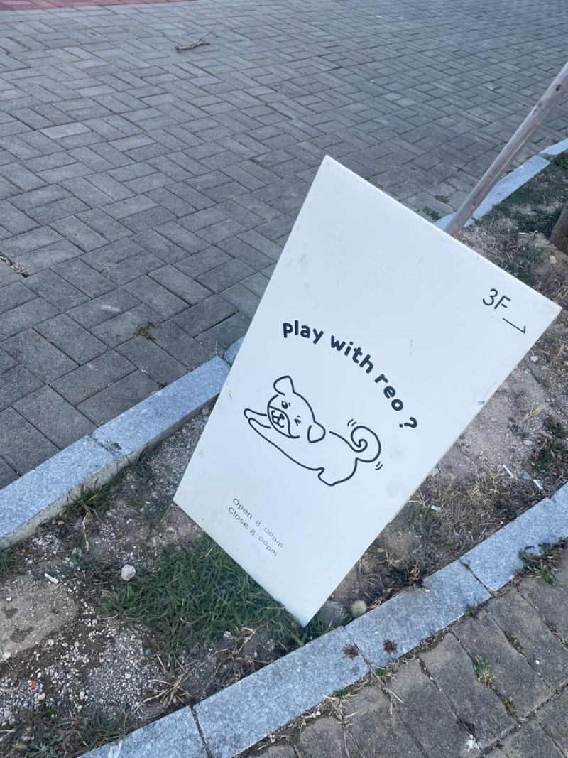 사진 2