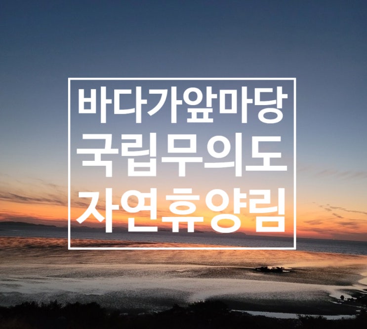  새해맞이 무의도 자연 휴양림(경쟁률 200:1) 무조건 한 번은 도전!