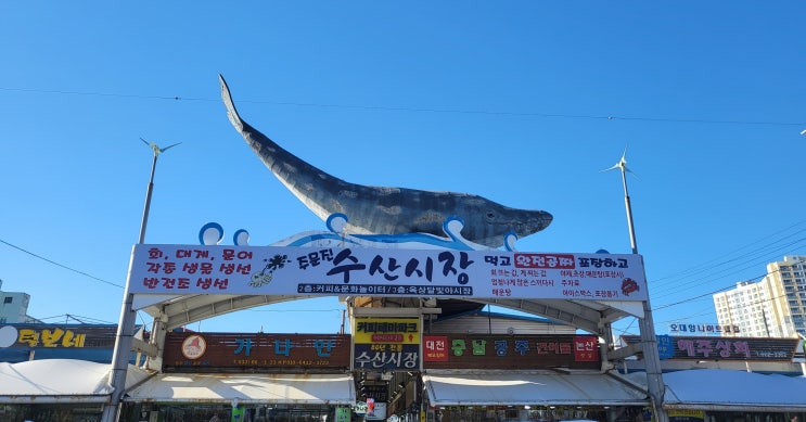  1박2일 강릉 여행 <주문진 수산시장>에 대한 기록