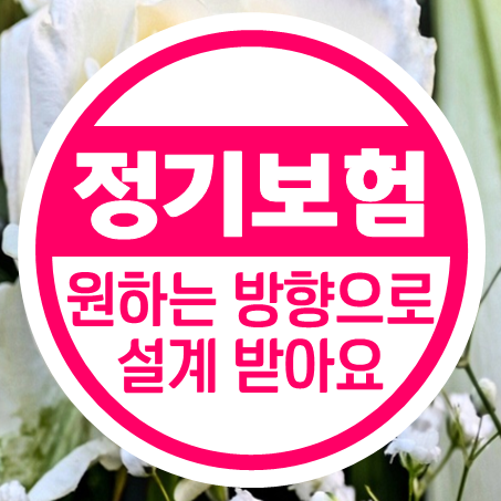  비갱신정기보험 추천 원하는 방향으로 설계 받을 수 있어요.