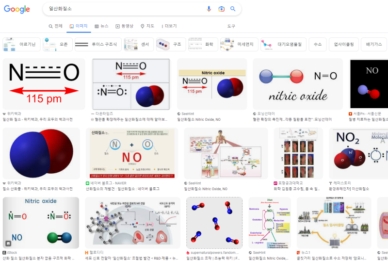 일산화질소(NO) 정의와 측정 : 네이버 블로그