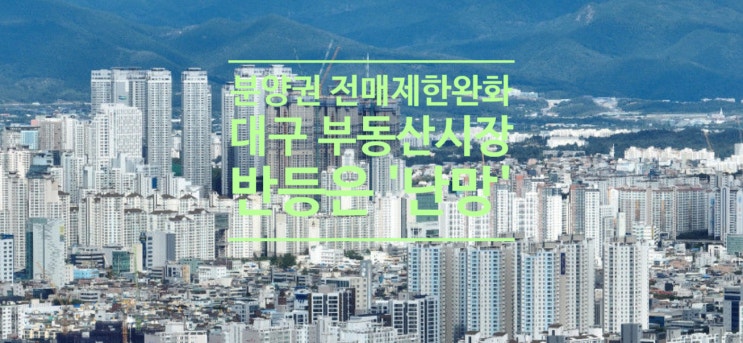  분양권 전매제한 완화에도 대구 부동산시장 반등은 '난망'