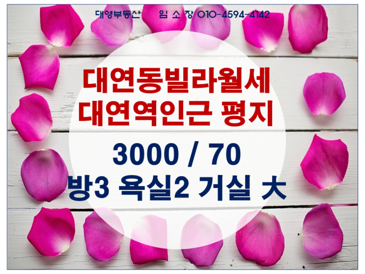  대연동 빌라 전월세 방3 욕실2 넓고 좋은 빌라
