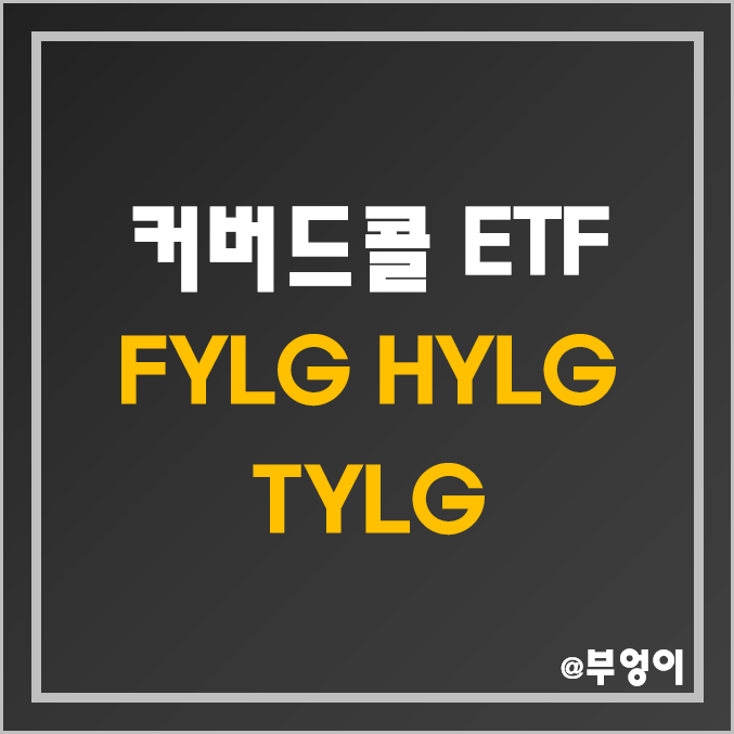 미국 섹터 커버드콜 고배당 및 월배당 ETF - FYLG, HYLG, TYLG 주가 (금융주, 헬스케어, 기술주 관련주/고배당주 및 콜옵션 활용) 미국 섹터 커버드콜 고배당 및 월배당 ETF - FYLG, HYLG, TYLG 주가 (금융주, 헬스케어, 기술주 관련주/고배당주 및 콜옵션 활용)