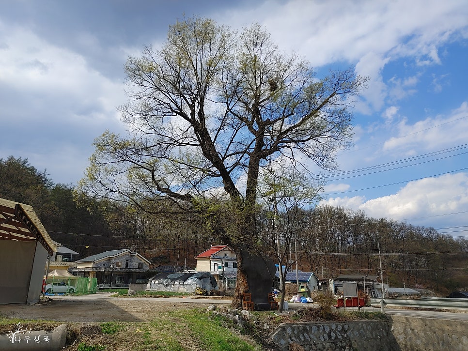 원터골 사진 5
