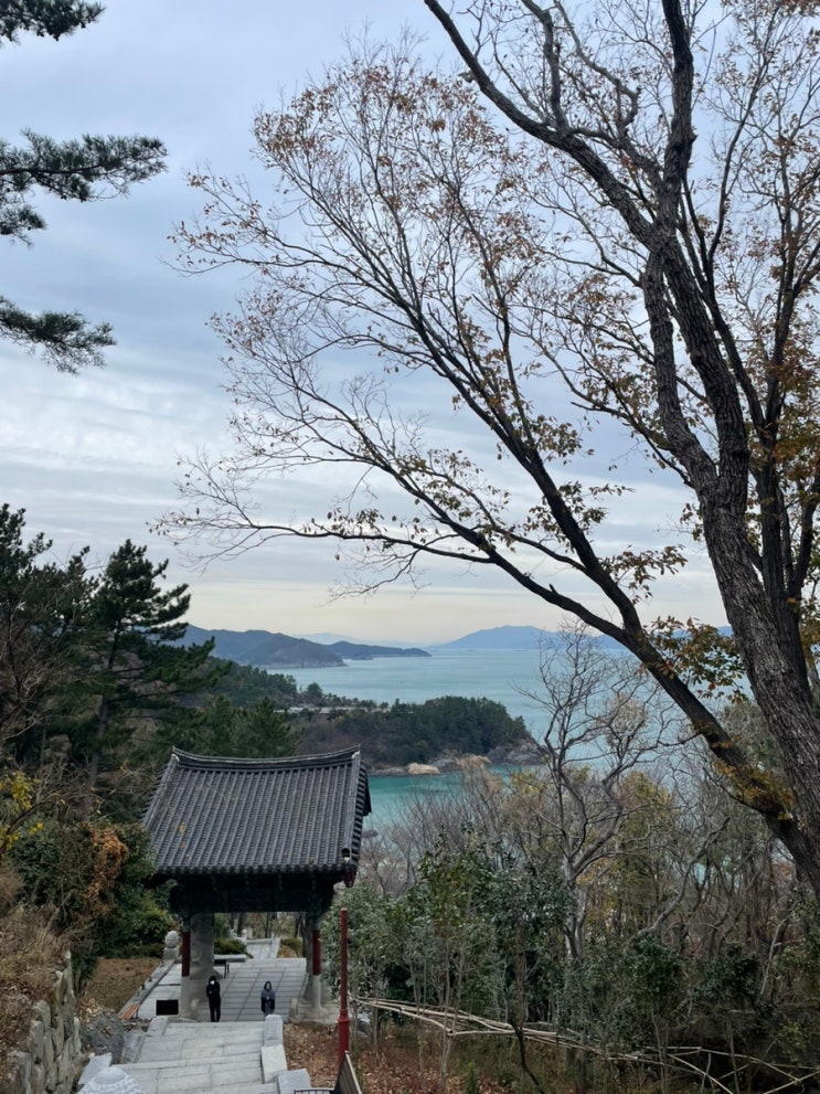 여수 향일암 vs 남해 보리암 비교 (위치/주차/가는길/풍경/소원초/동백꽃/금산산장)