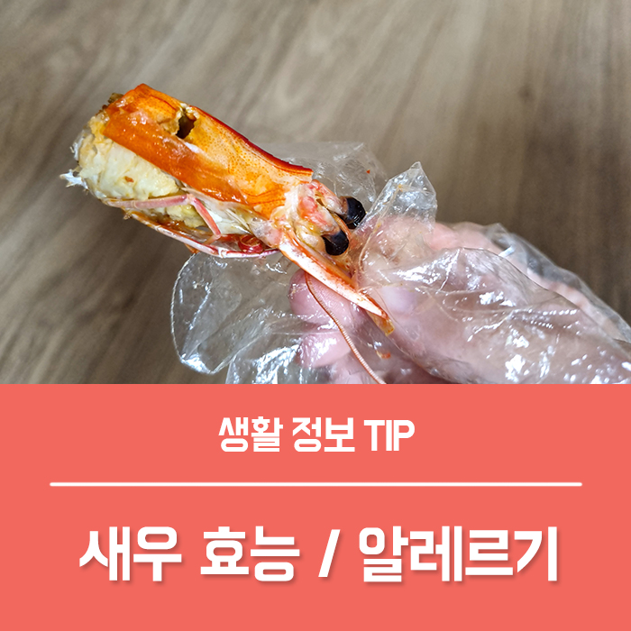  새우 효능 5가지, 새우 영양성분 갑각류 새우 알레르기 부작용?