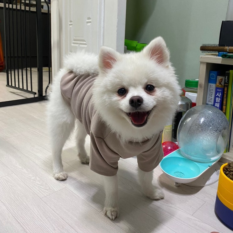  [룩또] 1048회 로또 당첨번호 조회! 1등 번호는?
