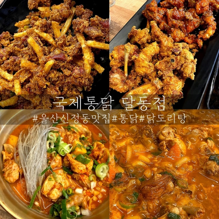  울산 신정동 맛집 통닭이 인상적인 국제통닭 달동점!