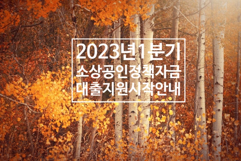 소상공인 정책자금 대리대출 1분기 접수 안내드립니다! 6