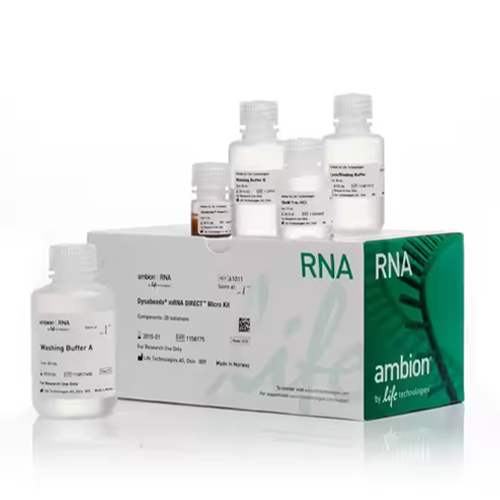 [제품] (Invitrogen) [61021] Dynabeads mRNA DIRECT Micro Purification Kit