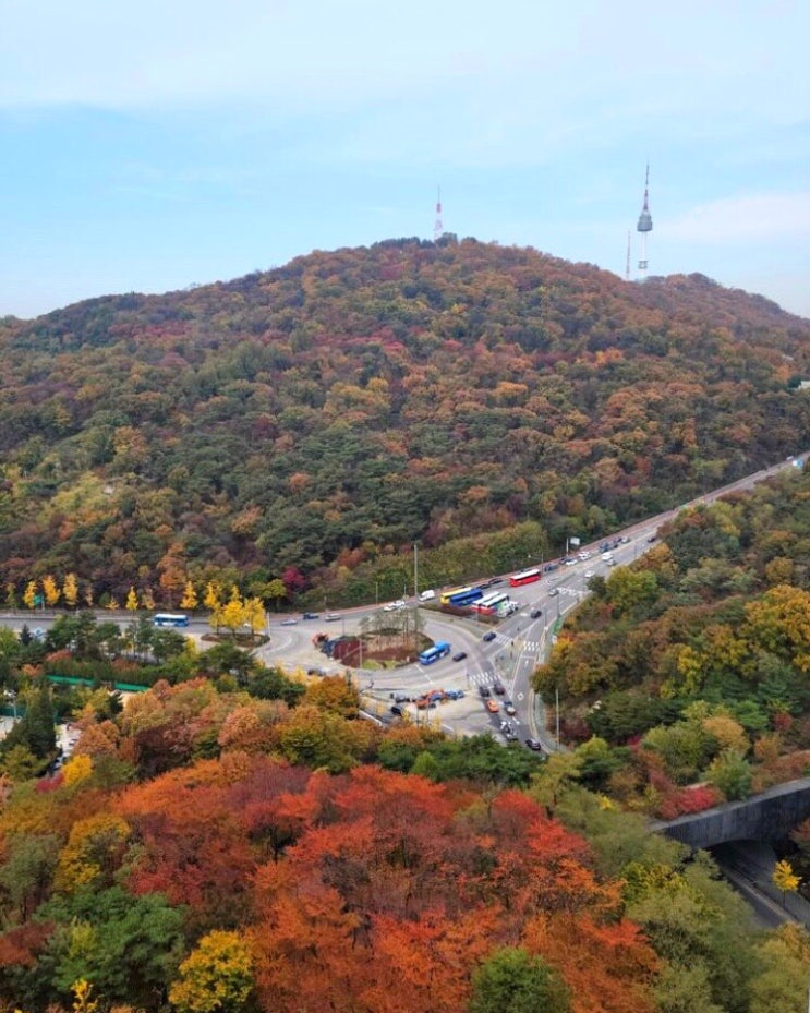  주변 무주택자, 1주택자, 다주택자 움직임