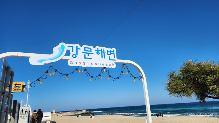  20대 마지막 "나홀로 강릉여행"