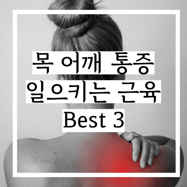 목 어깨 통증 Best 3 (승모근, 견갑하근, 극하극) 목 어깨 통증 Best 3 (승모근, 견갑하근, 극하극)