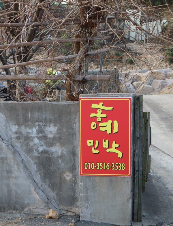 홍예민박 사진 4