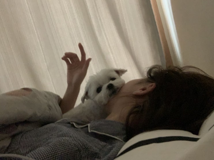  참지않는 말티쥬
