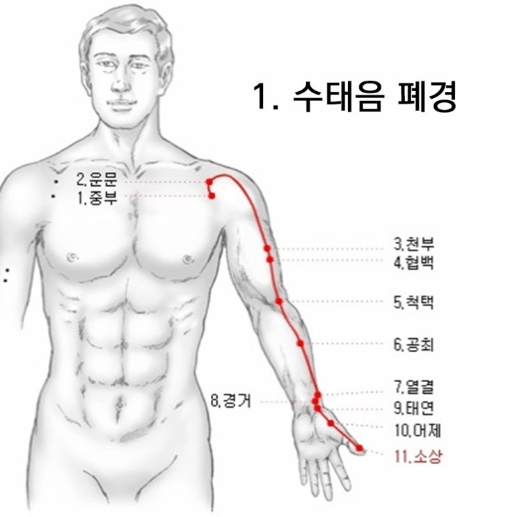  9. [한의학 개론] 경락, 장수 혈자리, 급체 혈자리