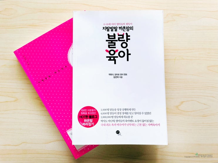하은맘 불량육아 책육아 육아서적 추천 하은맘 불량육아 책육아 육아서적 추천