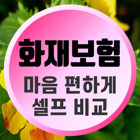  주택화재보험 가격 셀프로 알아볼 수 있어서 편해요.