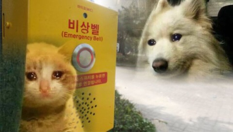인생이란 원래 자기 생각대로 되지 않는 법 이란다. 인생이란 원래 자기 생각대로 되지 않는 법 이란다.